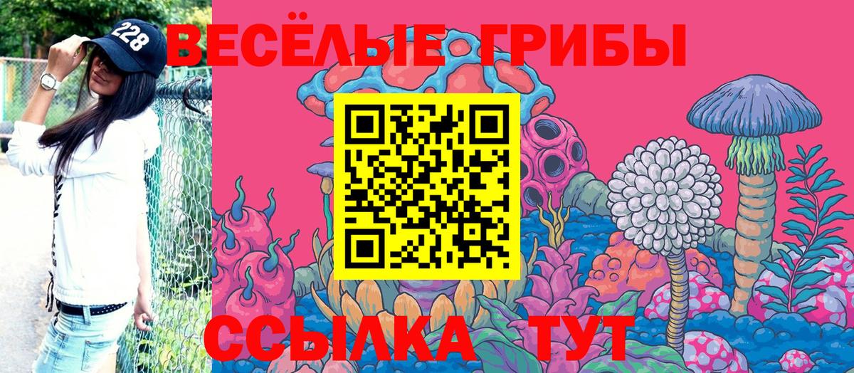Тельмана  Псилоцибиновые грибы ЛСД  Вход с VPN 
