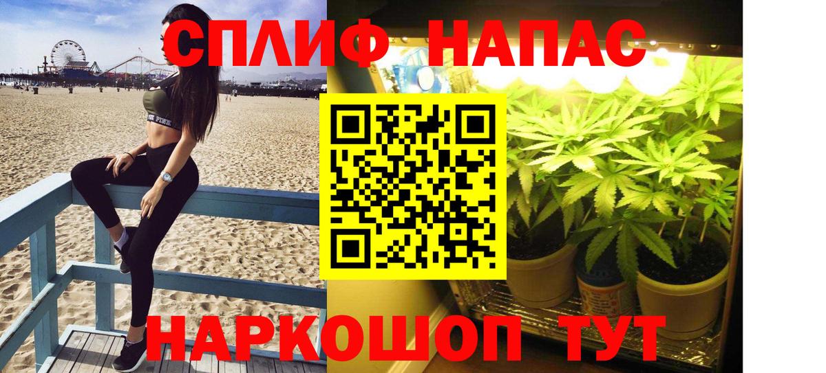 Каннабис тримм  Вход с VPN  МАРИХУАНА Ganja  Тельмана 